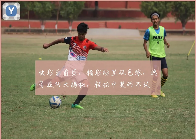 快彩乐首页，精彩纷呈双色球，选号技巧大揭秘，轻松中奖两不误