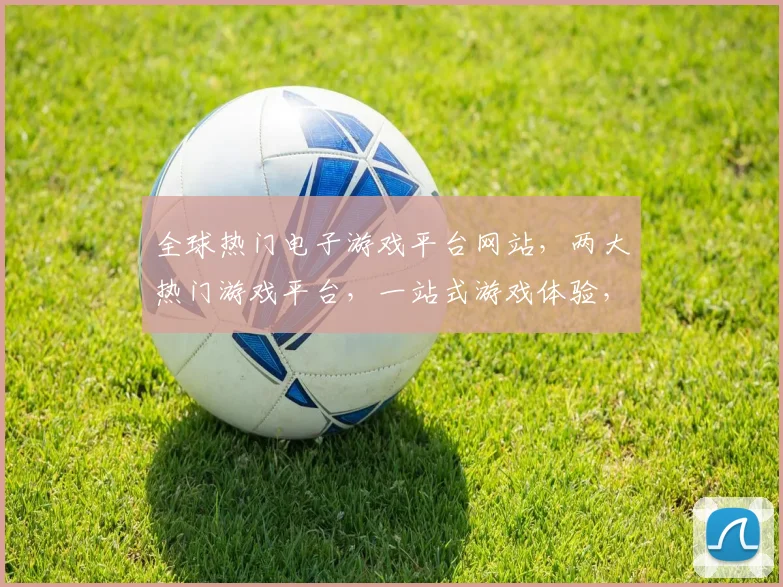 全球热门电子游戏平台网站，两大热门游戏平台，一站式游戏体验，畅游无界