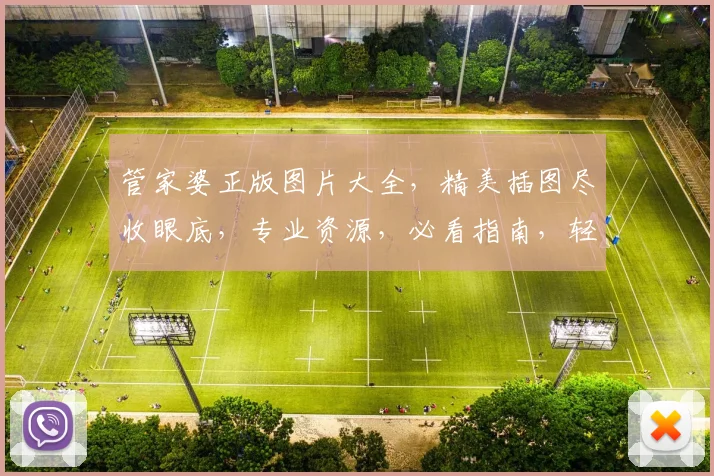 管家婆正版图片大全，精美插图尽收眼底，专业资源，必看指南，轻松驾驭
